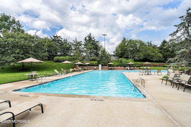 134 Orchid Ct Unit 1304, Toms River, NJ 08753 - photo 16