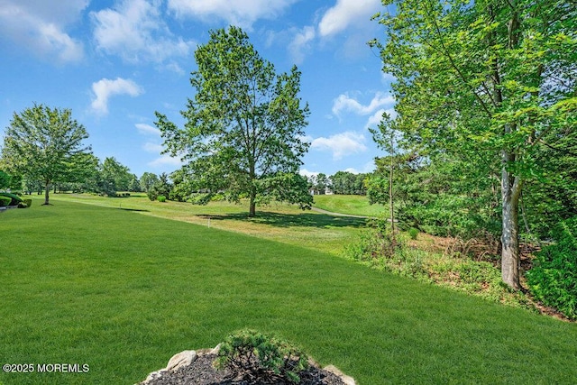 24 Oakmont Ln, Jackson, NJ 08527 - view of grassy yard
