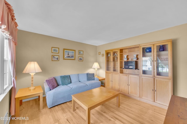 353 Cokes Dr, Toms River, NJ 08753 - living room featuring light wood-style flooring
