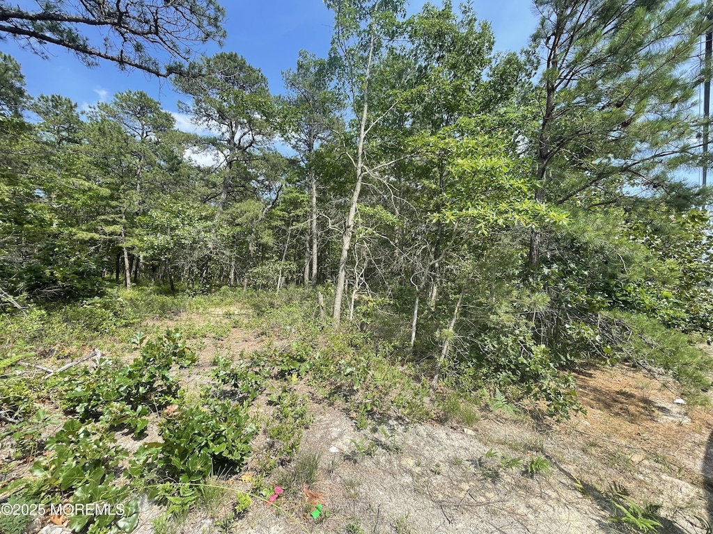 1463 Rte 539, Little Egg Harbor, NJ 08087