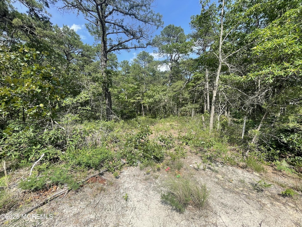 1463 Rte 539, Little Egg Harbor, NJ 08087