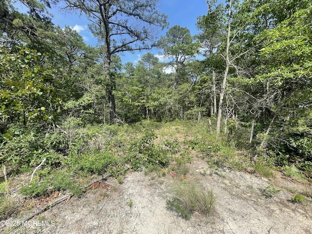 1463 Rte 539, Little Egg Harbor, NJ 08087