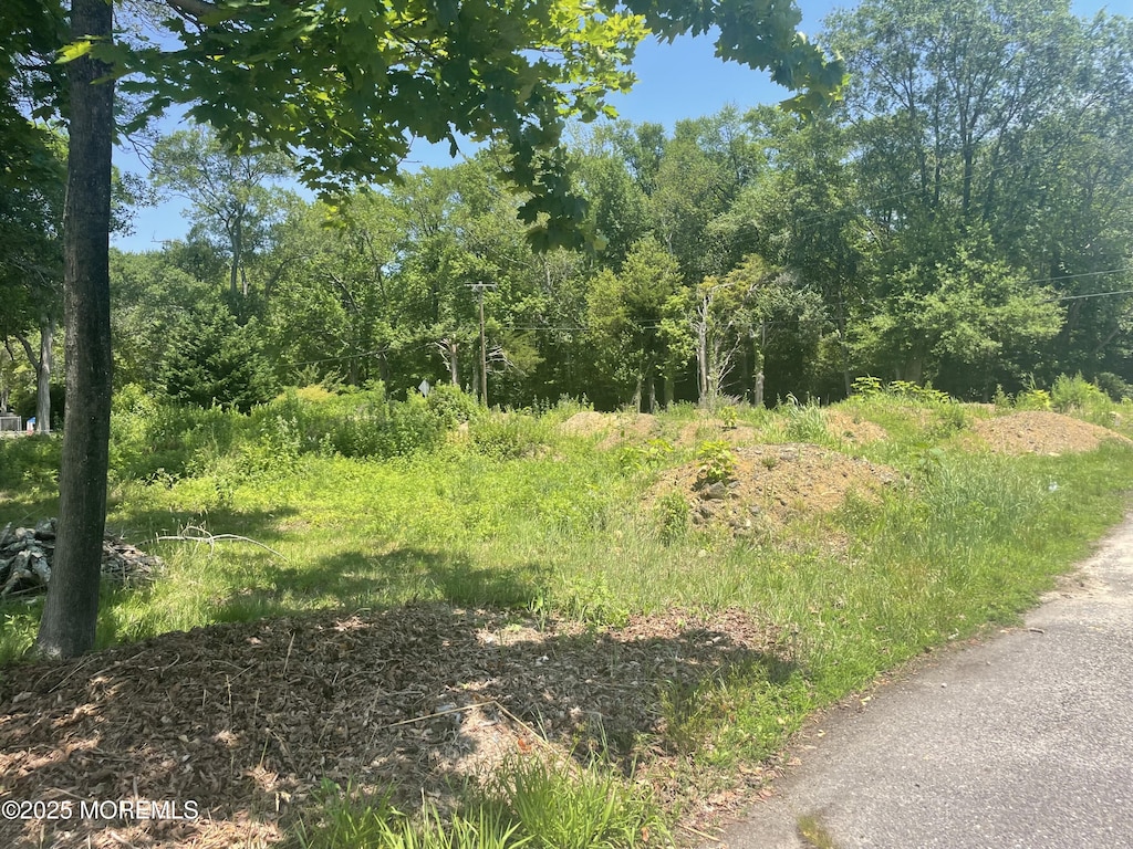 623 Holly Blvd, Bayville, NJ 08721 - photo 2