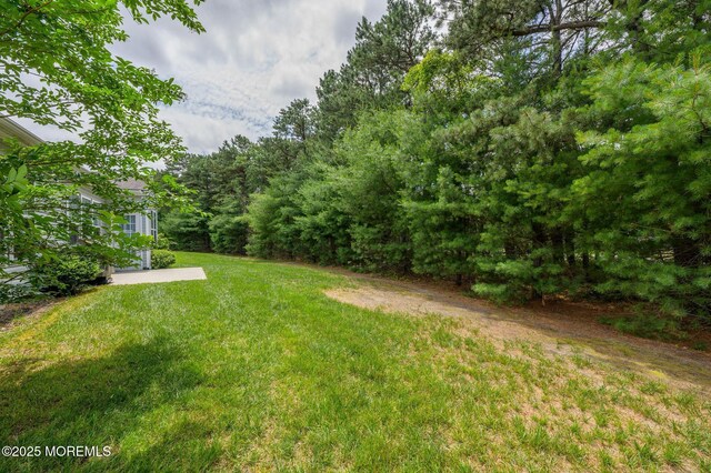 5 Gainsborough Ln, Manchester, NJ 08759 - view of green lawn