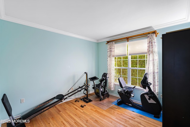 3 Knightsbridge Pl, Jackson, NJ 08527 - workout area with ornamental molding and wood finished floors