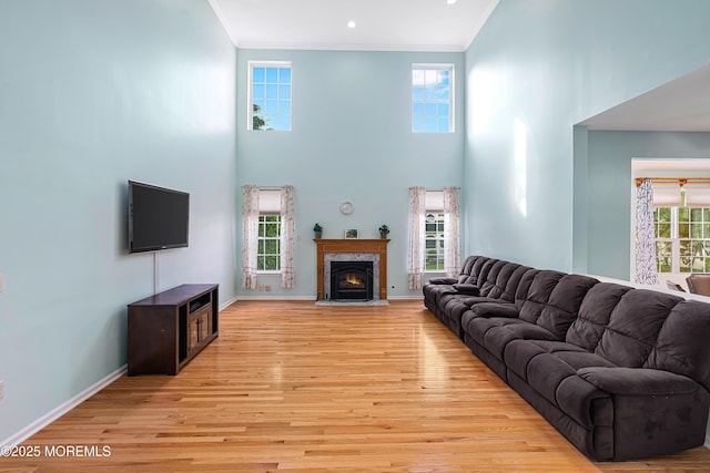 3 Knightsbridge Pl, Jackson, NJ 08527 - living room with a high ceiling, crown molding, a fireplace, and light wood finished floors