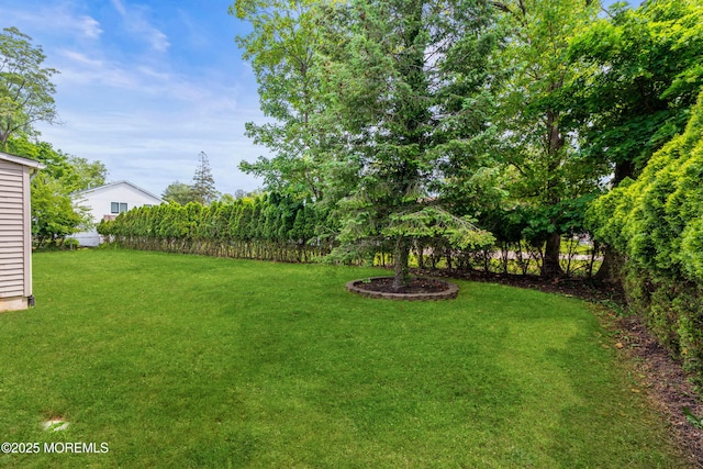334 Norgrove Pl, Elberon, NJ 07740 - view of yard