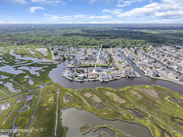 259 Cypress Dr, Bayville, NJ 08721 - aerial overview of property's location featuring a large body of water and nearby suburban area