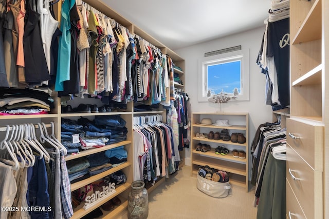 6 Pearce Ct, Manasquan, NJ 08736 - spacious closet featuring carpet floors