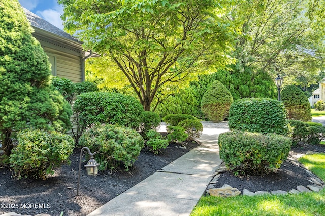742 Ryan Run, Toms River, NJ 08753 - photo 8