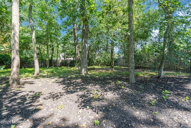 742 Ryan Run, Toms River, NJ 08753 - photo 64