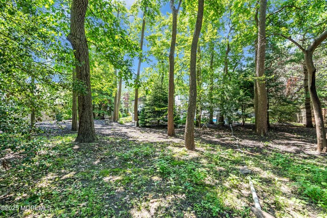 742 Ryan Run, Toms River, NJ 08753 - photo 65