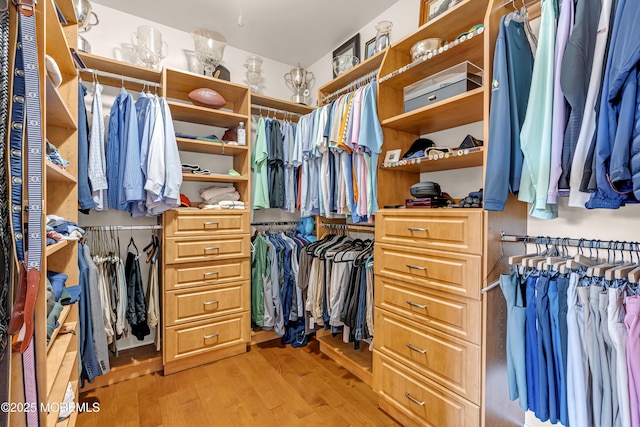 4 Geraldine Ct, Farmingdale, NJ 07727 - walk in closet featuring light wood finished floors