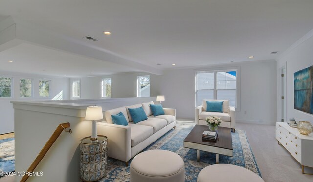 109 Sofia Dr, Manalapan, NJ 07726 - photo 23