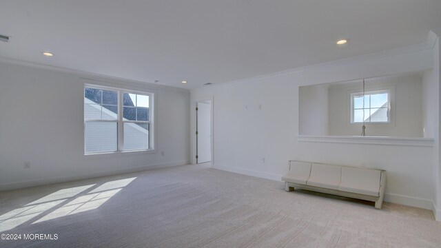 109 Sofia Dr, Manalapan, NJ 07726 - photo 44