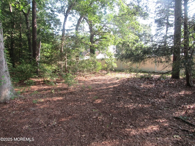 752 Hulses Corner Rd, Howell, NJ 07731 - view of yard