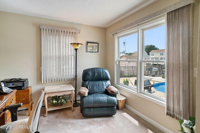 54 Storm Jib Ct, Bayville, NJ 08721 - living area with plenty of natural light, carpet, and a textured ceiling