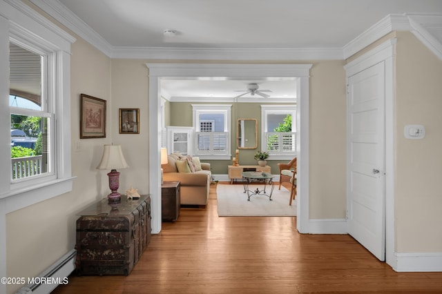 340 Main Ave, Bay Head, NJ 08742 - hall featuring a baseboard radiator, wood finished floors, and crown molding
