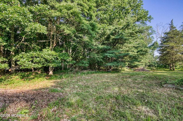 74 Squankum Rd, Tinton Falls, NJ 07724 - view of yard