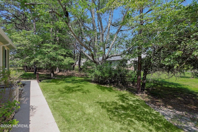 9 Deerfield Dr Unit D, Whiting, NJ 08759 - view of green lawn
