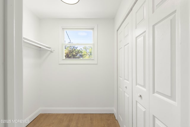 1822 Deerhead Lake Dr, Forked River, NJ 08731 - walk in closet featuring light wood-type flooring
