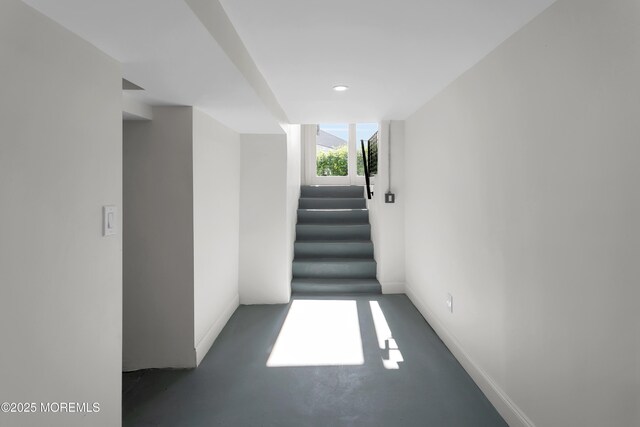 58 W Westside Ave, Red Bank, NJ 07701 - photo 40