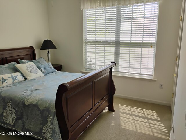 1 Tara Ct, Whiting, NJ 08759 - photo 20