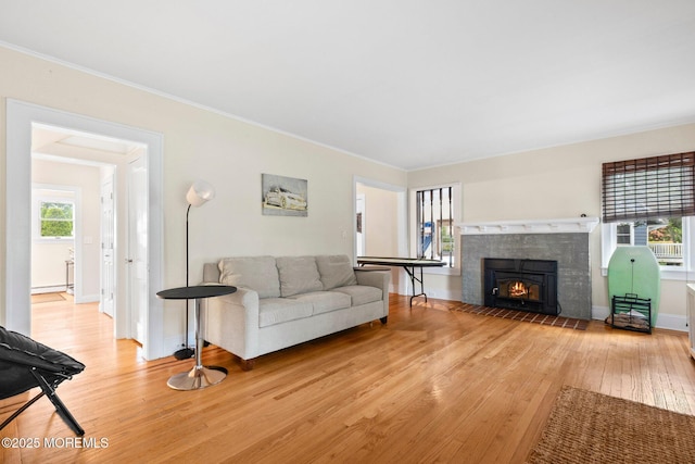 217 Alpern Ave, Elberon, NJ 07740 - living room with hardwood / wood-style flooring, plenty of natural light, crown molding, and a fireplace with flush hearth