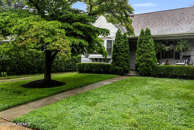 23 Jackson St, Fair Haven, NJ 07704 - photo 4