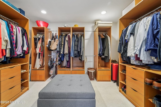 11 Delwood Rd, Chester Twp, NJ 07930 - spacious closet featuring carpet flooring