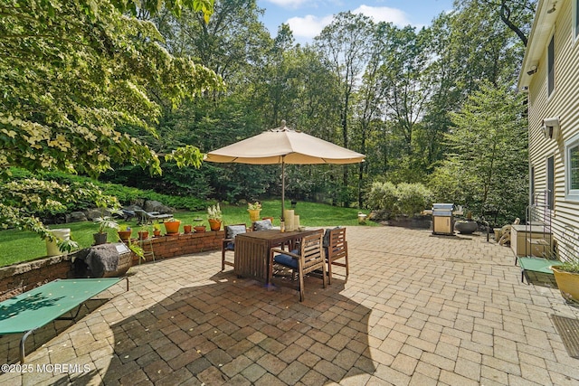 11 Delwood Rd, Chester Twp, NJ 07930 - view of patio / terrace featuring outdoor dining space and grilling area