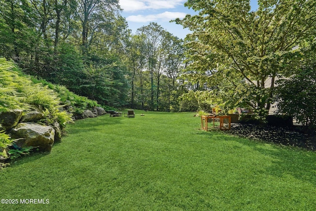 11 Delwood Rd, Chester Twp, NJ 07930 - view of grassy yard