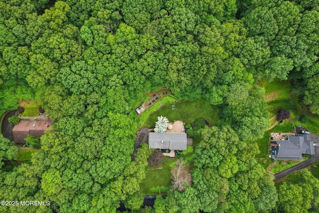 11 Delwood Rd, Chester Twp, NJ 07930 - aerial overview of property's location