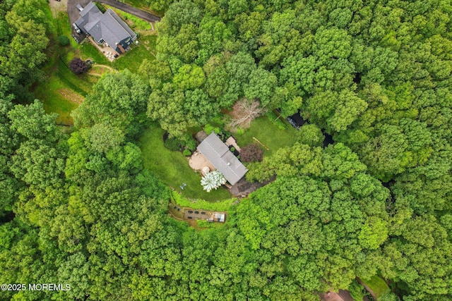 11 Delwood Rd, Chester Twp, NJ 07930 - aerial overview of property's location