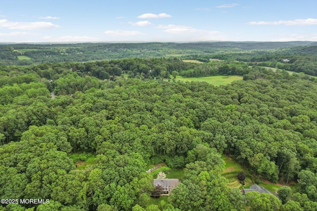 11 Delwood Rd, Chester Twp, NJ 07930 - aerial view of a heavily wooded area