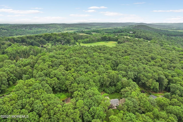 11 Delwood Rd, Chester Twp, NJ 07930 - aerial view of a heavily wooded area
