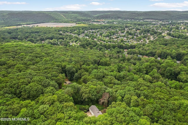 11 Delwood Rd, Chester Twp, NJ 07930 - drone / aerial view of a forest