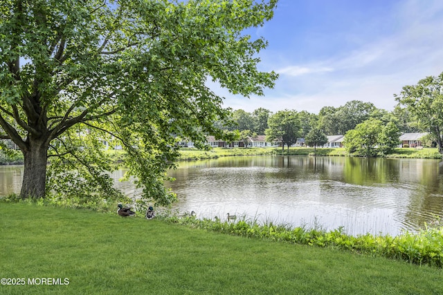 239A Huntington Dr, Lakewood, NJ 08701 - photo 3