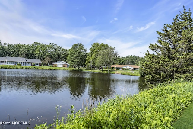 239A Huntington Dr, Lakewood, NJ 08701 - photo 5