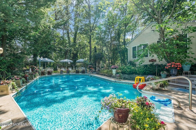523 Pheasant Ln, Toms River, NJ 08753 - outdoor pool with a patio
