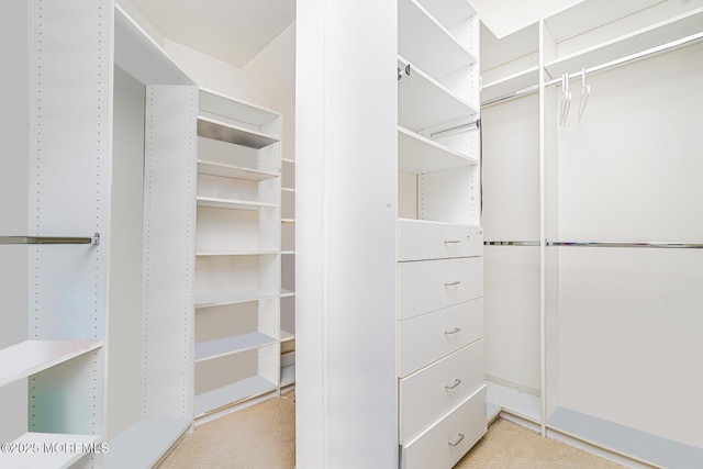 161 Arborridge Dr, Forked River, NJ 08731 - view of walk in closet