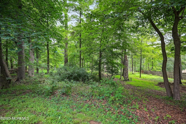 148 Reservoir Rd, Hopewell Twp, NJ 08525 - photo 38