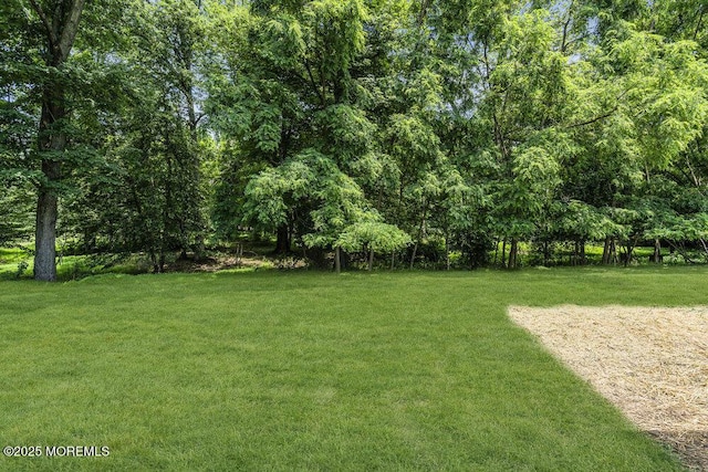 1528 Stuyvesant Ave, Ewing, NJ 08618 - view of green lawn