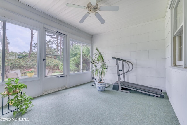 5 Bennington Dr, Toms River, NJ 08757 - exercise area featuring ceiling fan and carpet