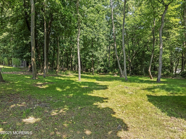 26 Crow Hill Rd, Freehold, NJ 07728 - photo 19