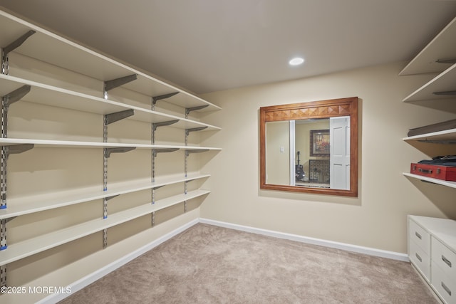 59 Country View Dr, Freehold, NJ 07728 - photo 39