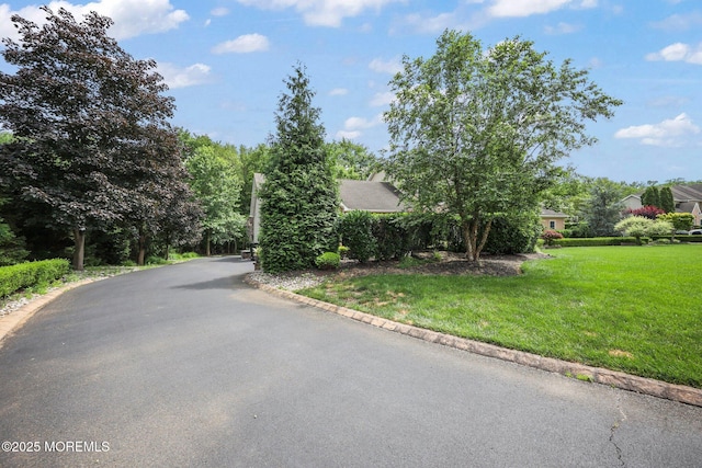 4 White Pines Way, Freehold, NJ 07728 - photo 43