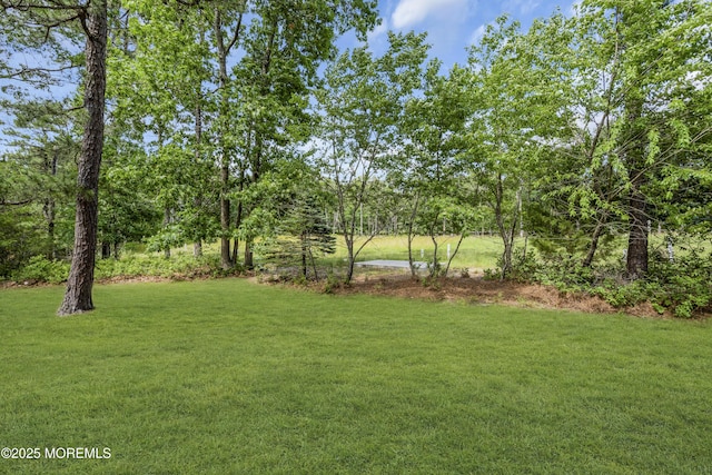 3 Casey Ct, Barnegat, NJ 08005 - view of grassy yard