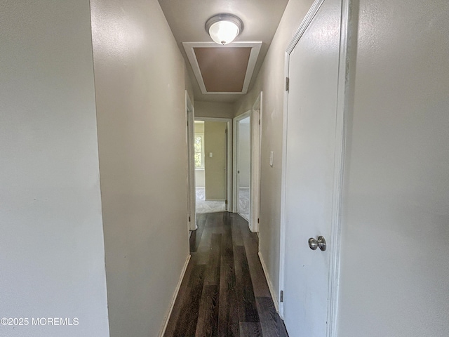 247 Tackle Ave, Manahawkin, NJ 08050 - photo 8