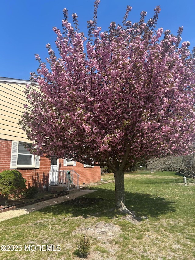1-B Pilgrim Ct, Whiting, NJ 08759 - view of green lawn